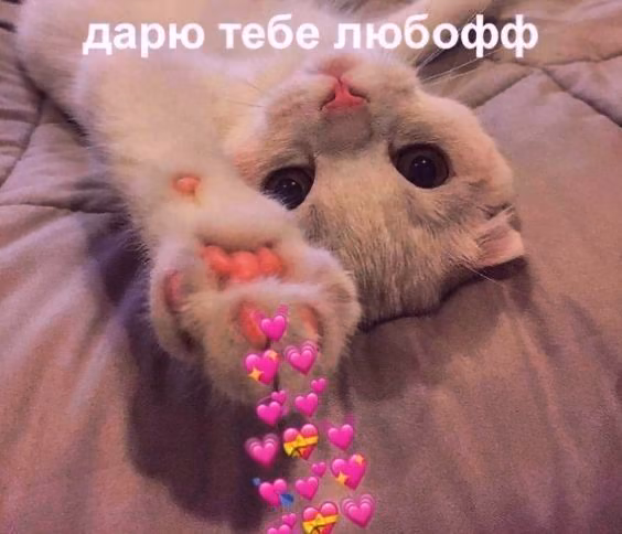 2f2b337edcb4d4df6712f725266cb291.avif