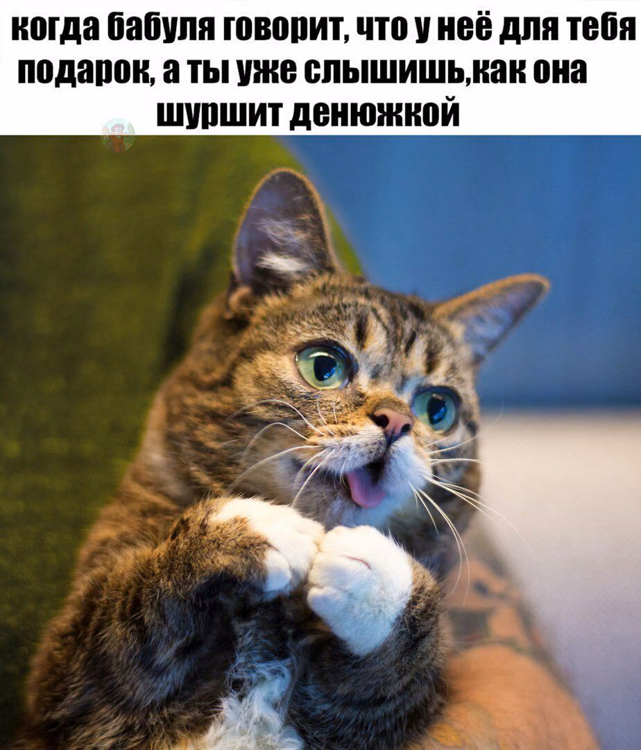 2f3aac12ce999f22cc481bbf17523b75.avif