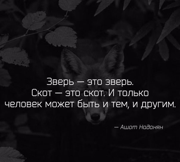 2f3f73d17df47b12d8d44276f1d6852d.jpg