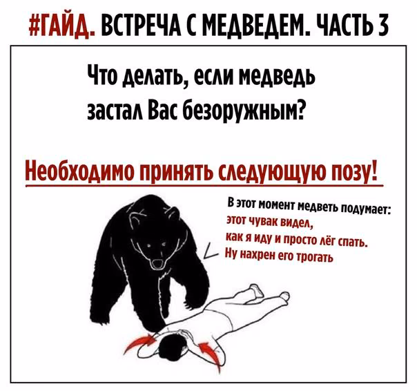 2f4bfa8bf9b390193f37e4a67ae2e2b2.avif