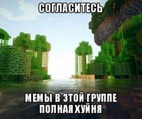 2f4e0c9b47c4c6bfd8221efb9e56a13e.jpg