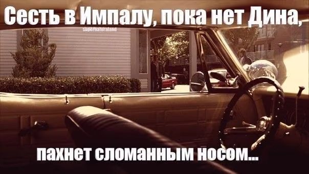 2f52a722ecbd9b309a6444cc7977e162.avif