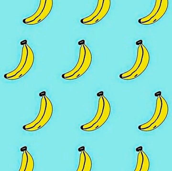 2f55a04201a69580a53c386216d5d15d.avif