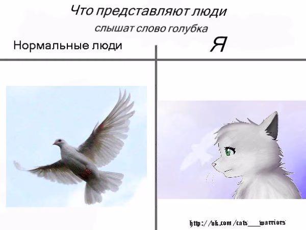 2f5b74a6783ac71df38c203d70af3154.avif