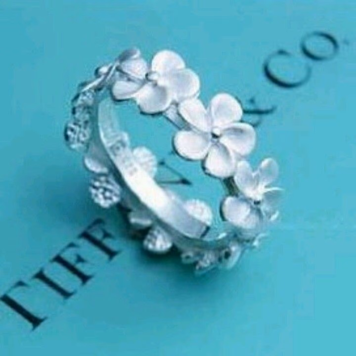 2f71a7290f57e8b70f05bacb3d4c46ce.avif