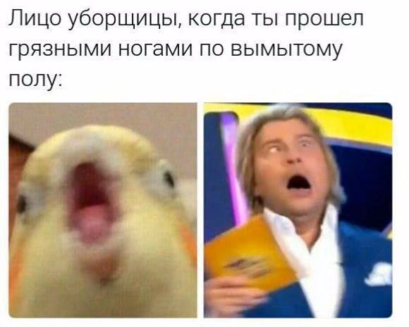 2f7ea14ffc068dcfd0452dd64d6fd4e0.avif