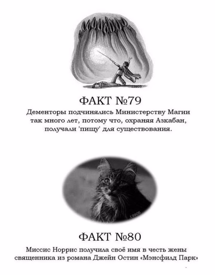 2f869fe0eb5268be27a62c939992101d.avif