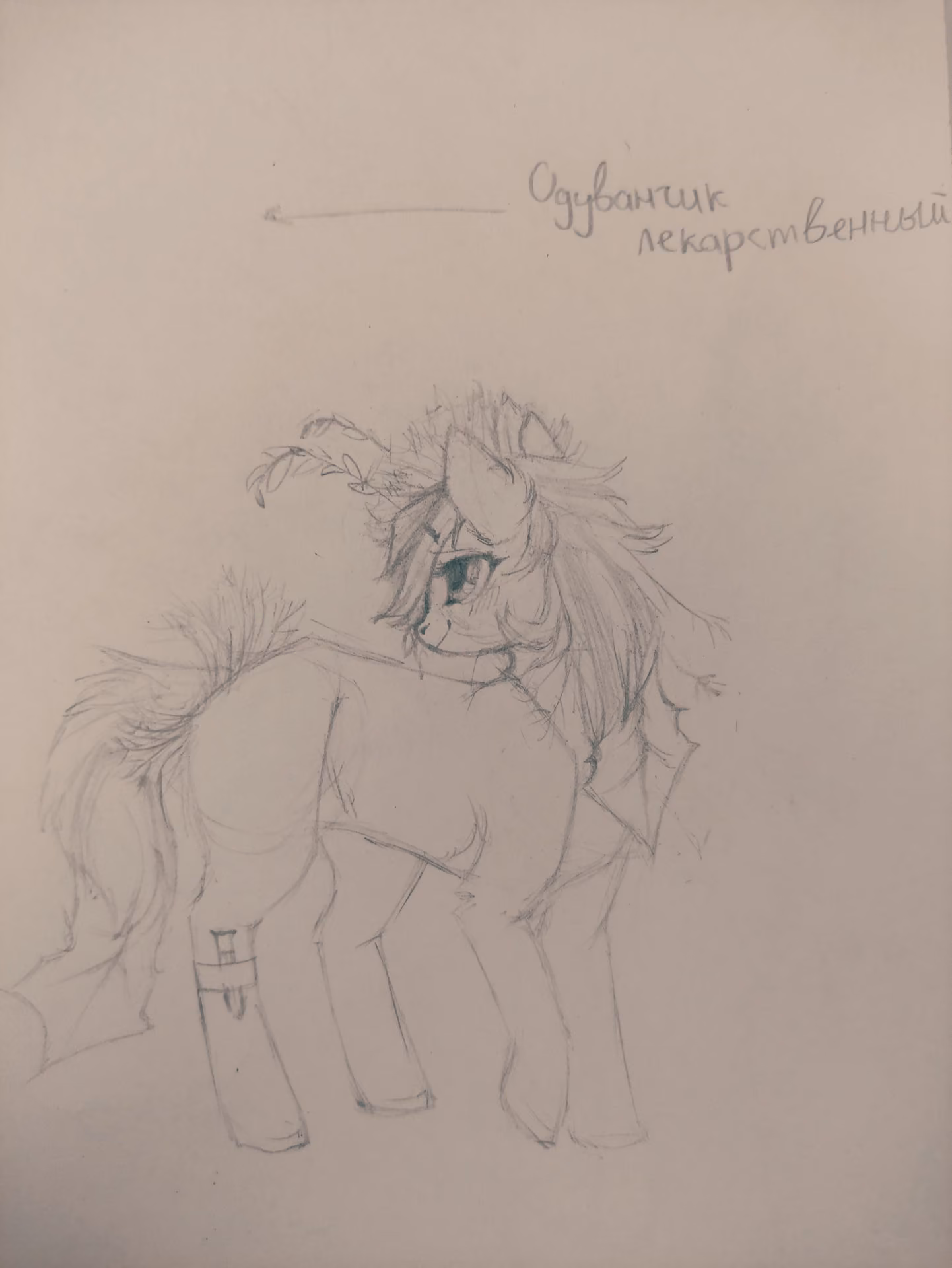 2f916e2f1a47a53ce8db4d255ce34e7f.jpg