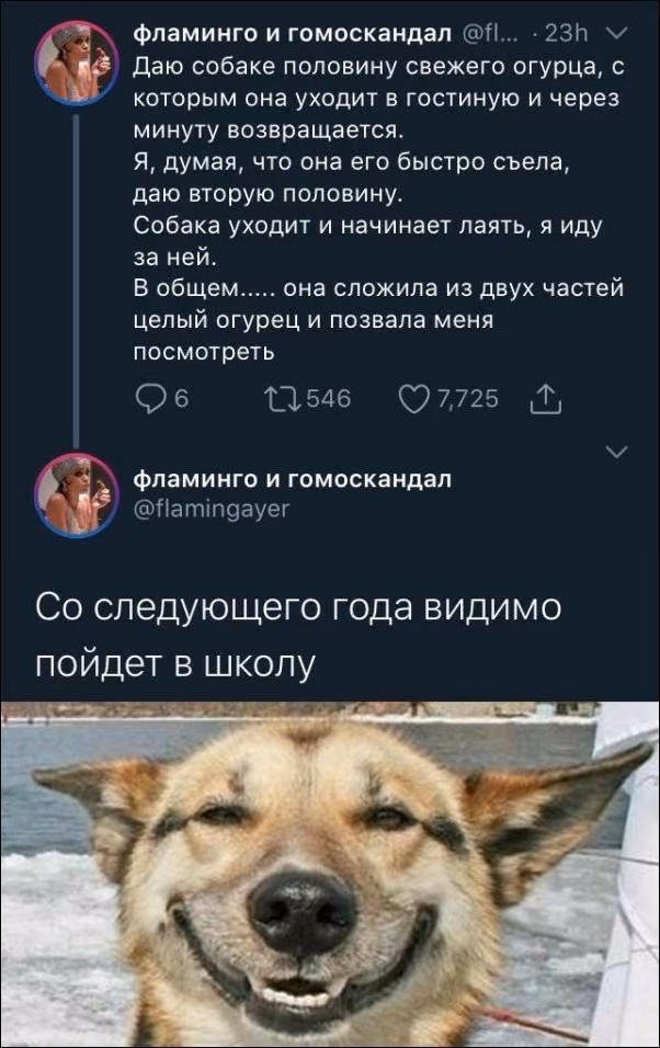 2f92ad49b8adfe0adb269f9e78bd262a.avif