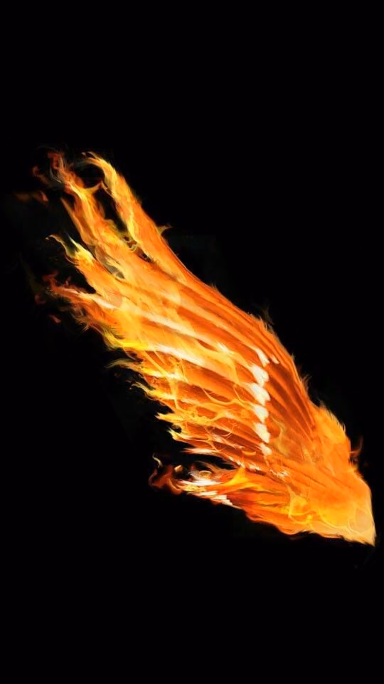 2f97af85f983f02438a5bb9466266d46.avif