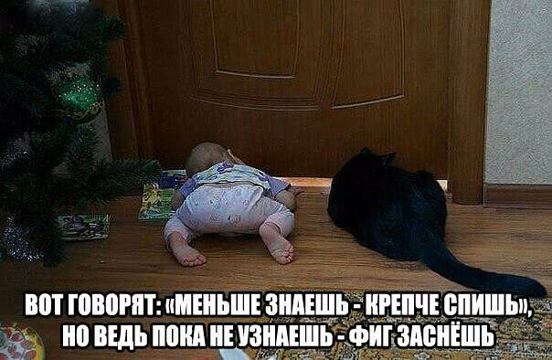 2f9cc7ce3934178ceeda1ef50b5f8309.avif