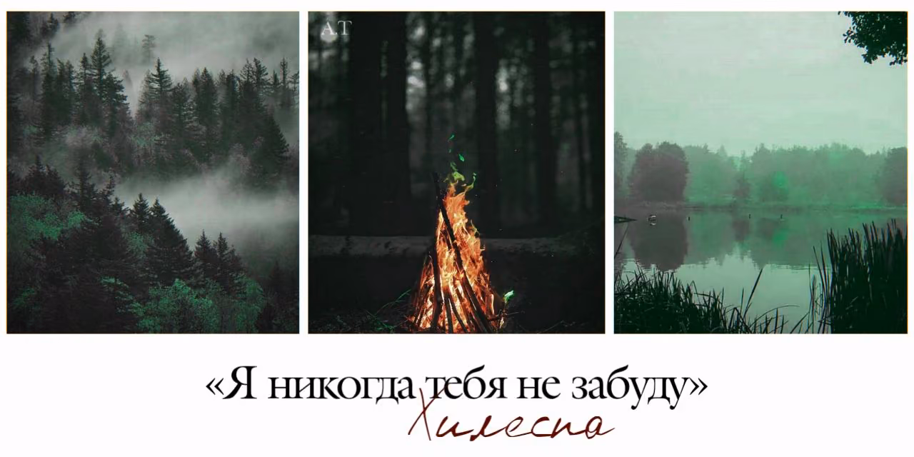 2f9f90c3b3f1ce305cc92a643dafa914.avif
