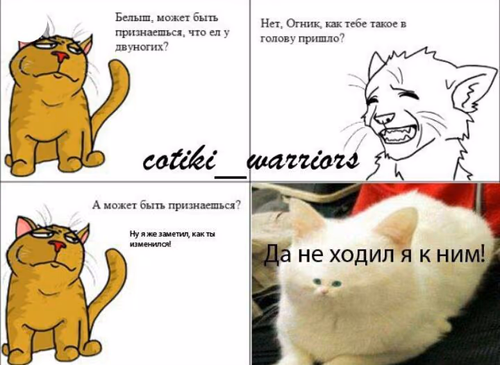 2fb2915e9434e88055d5b340b884e928.jpg
