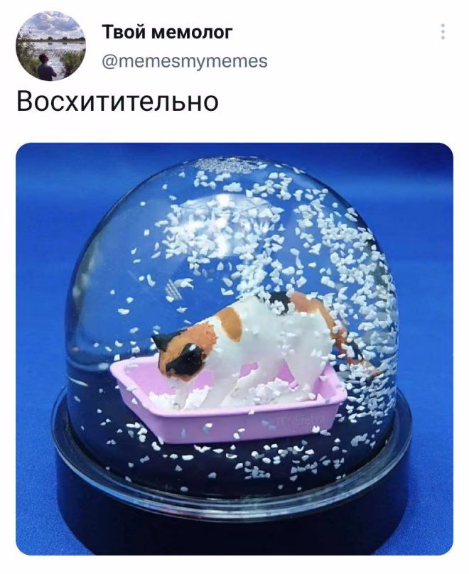 2fbbed8304dd544ce2f7f1e7aa5421f3.jpg
