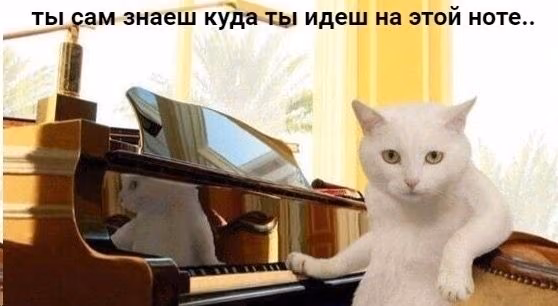 2fbf2b1b0b8243626480e4303eb491f7.avif
