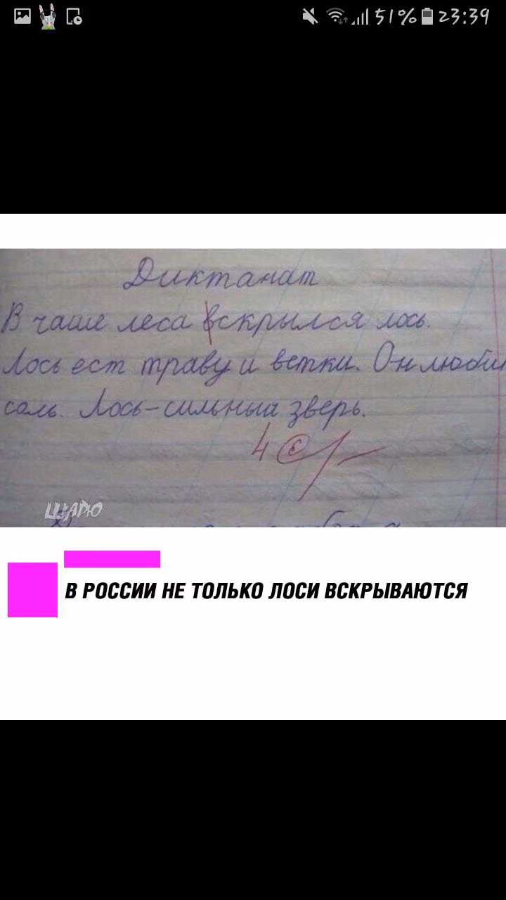 2fc1caf6e5a8984ca4428863cda2b46b.jpg