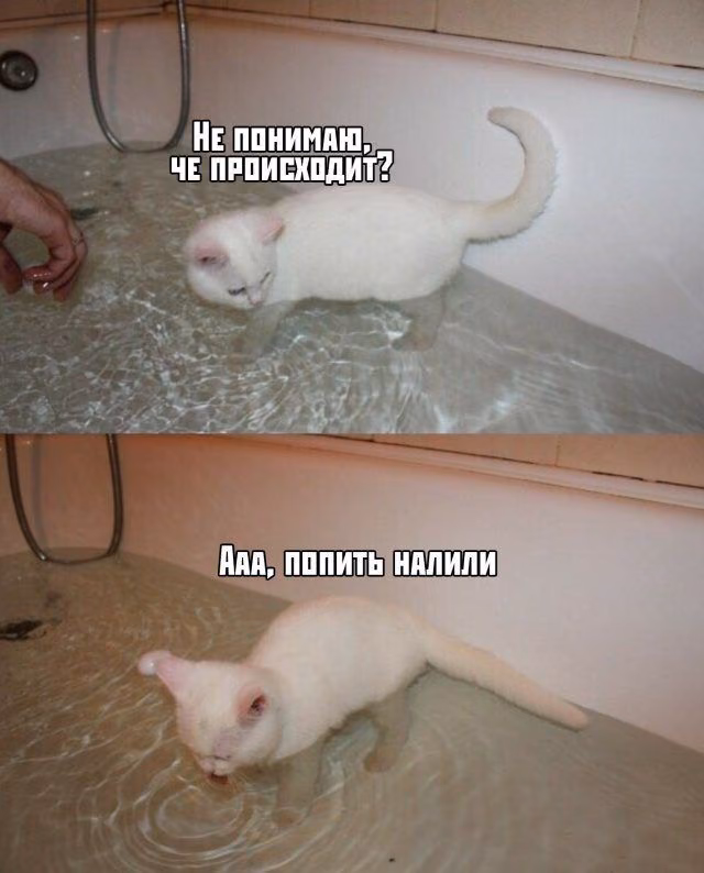 2fe31651639626b0849bc74cd9170c53.avif