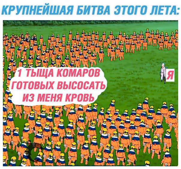 2fe6c6bc2d55a5db14900da0e54d51e4.jpg