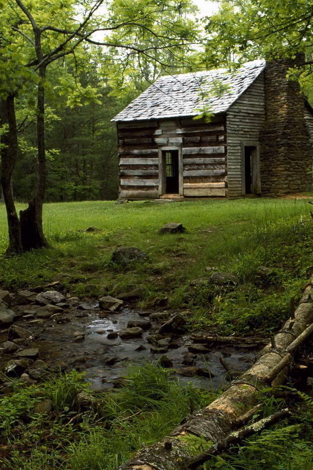 30062a9530505eaec9d739e3a5344b90.jpg