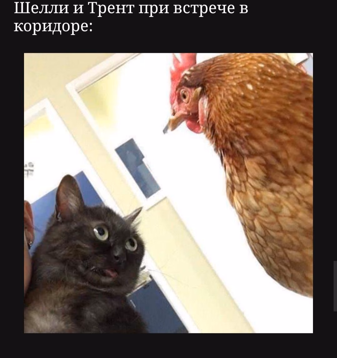 3006ea5208e66cbf24e98a274f9ca0dc.avif