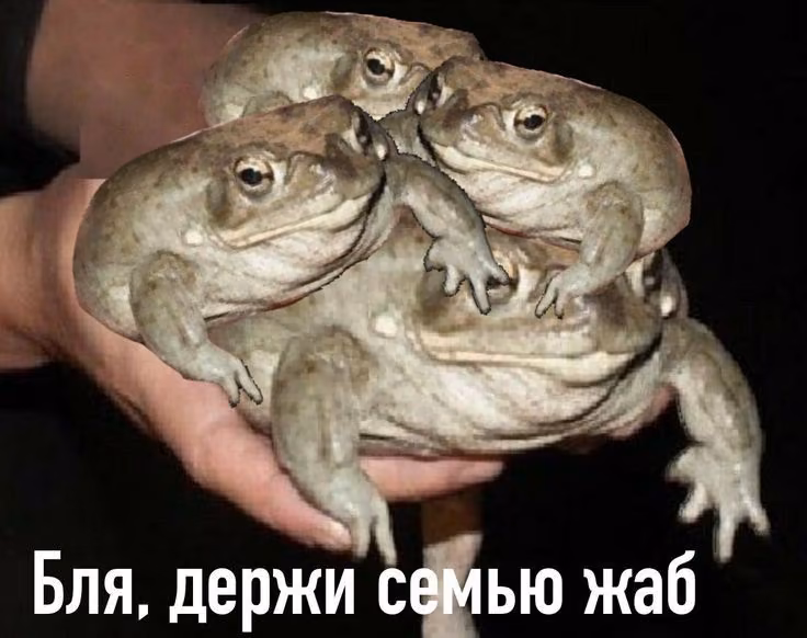301a208bb89323f87144d40c583ed98b.jpg