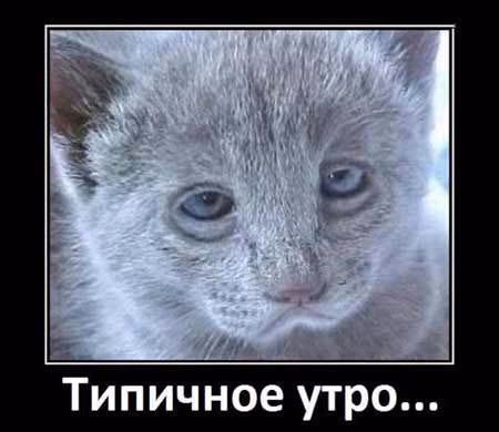 303bbfdc6a871adea9db120fa1b486a4.jpg