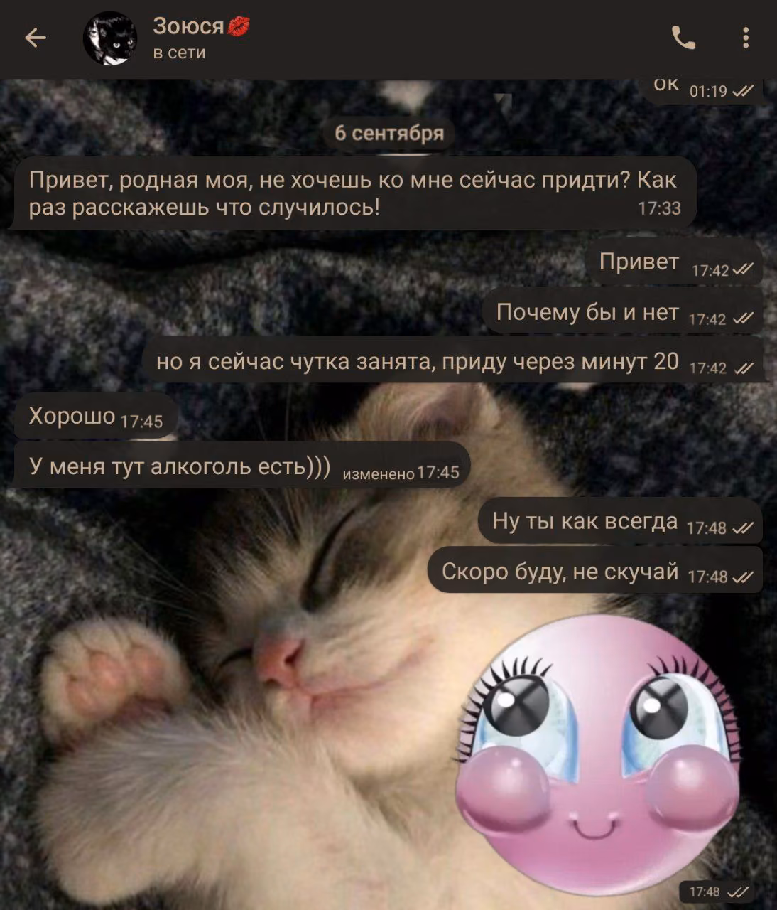 303fc3d891b7ee9ef5c88c777c862273.avif