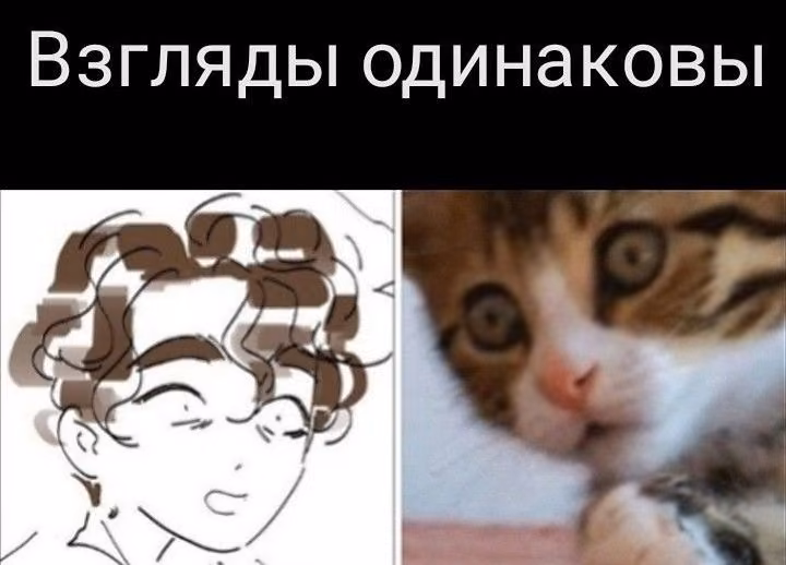 3043f757cdfa1c7643d139a8daff596b.avif