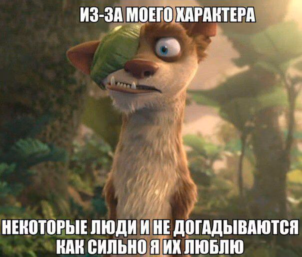 305730d8fde663280e8aad75b47f1c86.jpg
