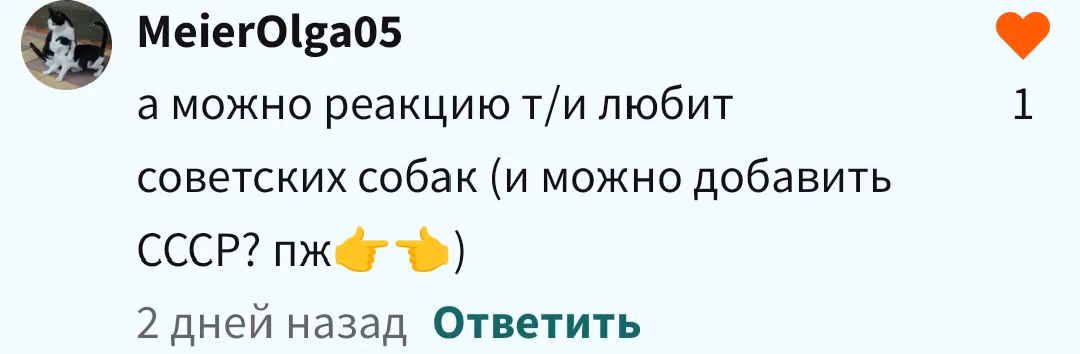 305ef6355c9ff2509c09099d027cb4ad.avif