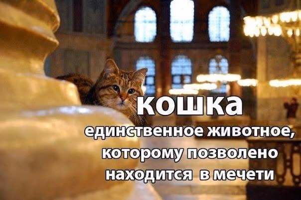 3073b5f74e445513b5bc472754064d4f.avif