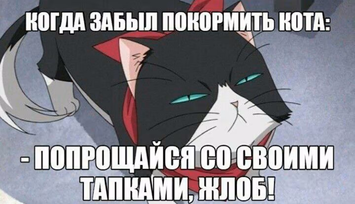 30805b8b9889c38e11e87d2c7fa67eed.jpg
