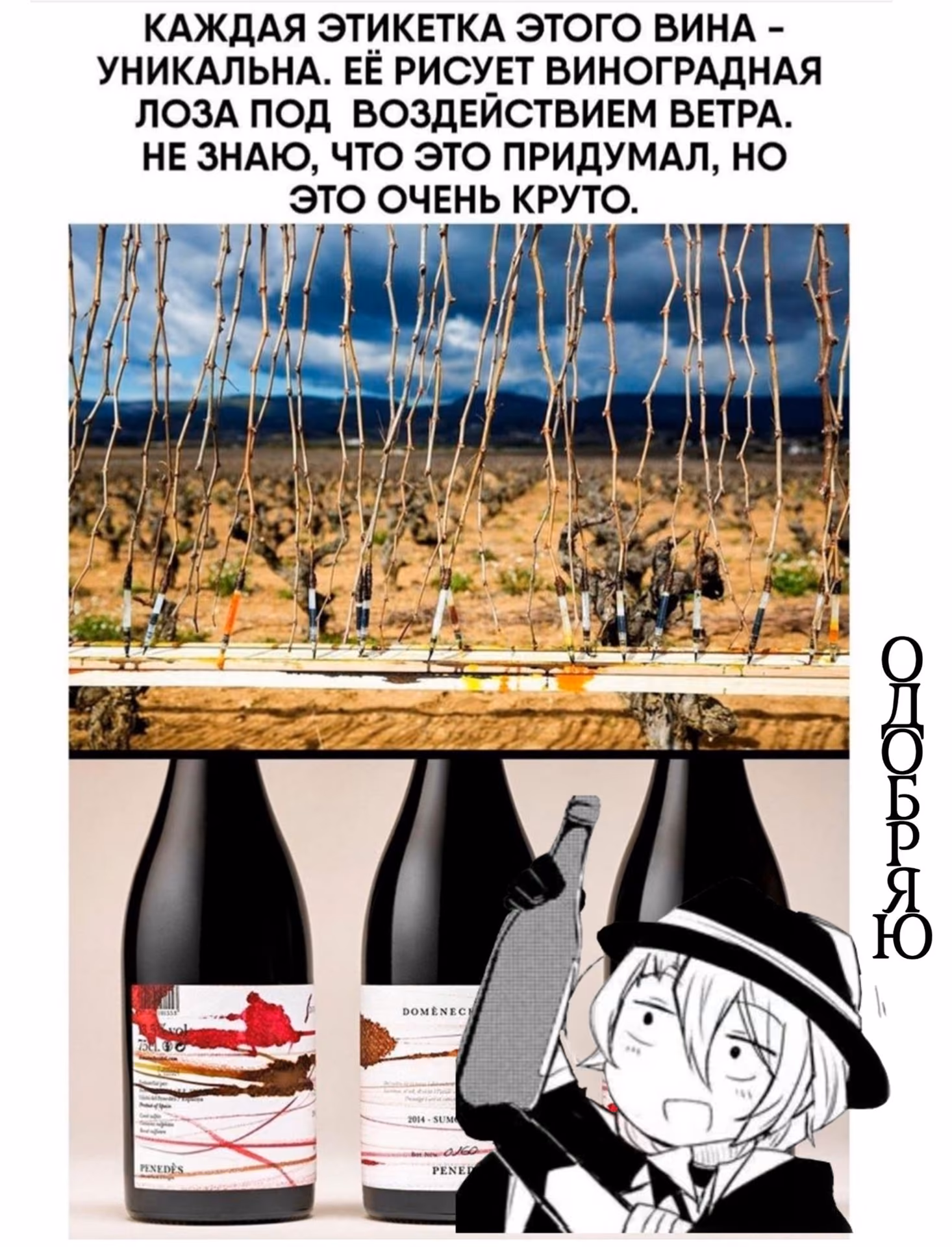 30835c5ea864c9bcd11c9ecd99b086c1.jpg