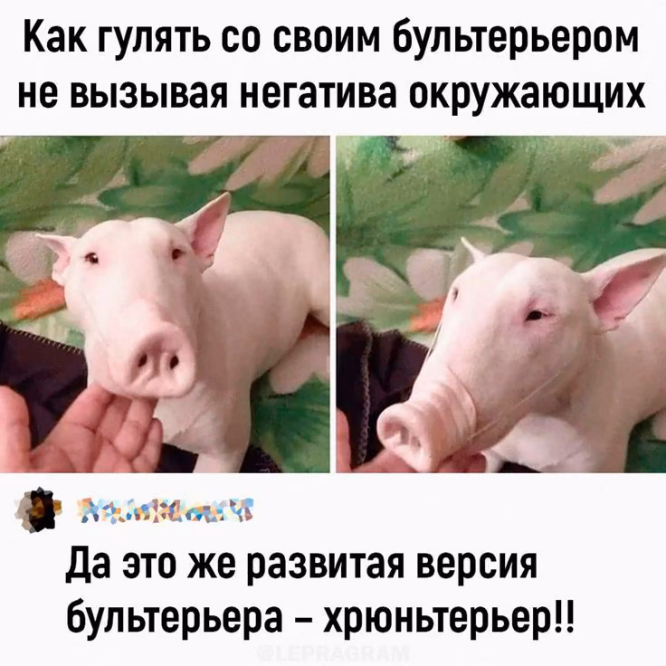 30873b72e97a9dabcafddc2826bdc18e.avif