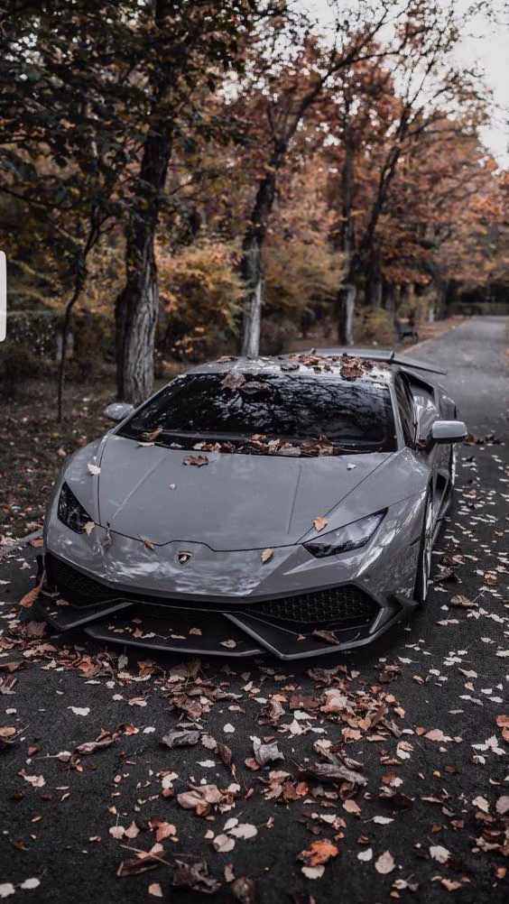 f9cb847e5522d8d7c25671cf222c2a21.jpg