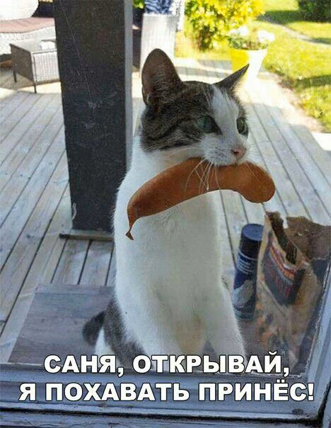 308abad58ad48ed1bcb8c3da74c5f6f3.jpg