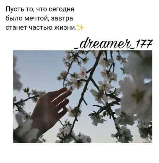 3095eca5a384120d6449327f5f82cc91.jpg