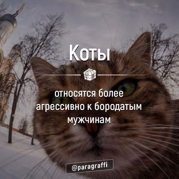 3098b865daa5a797fb75929331bc5e4c.avif