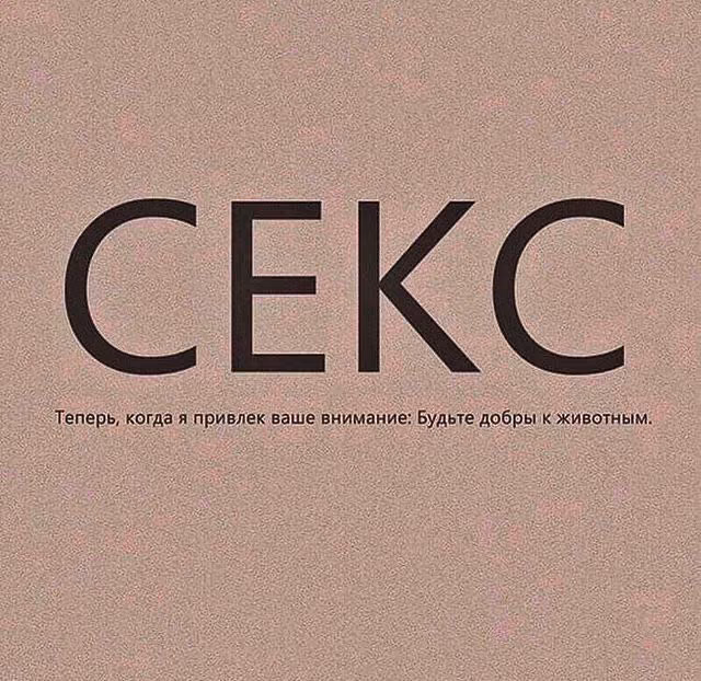 30c03594ed5962e1ddef7e41dccbede9.jpg