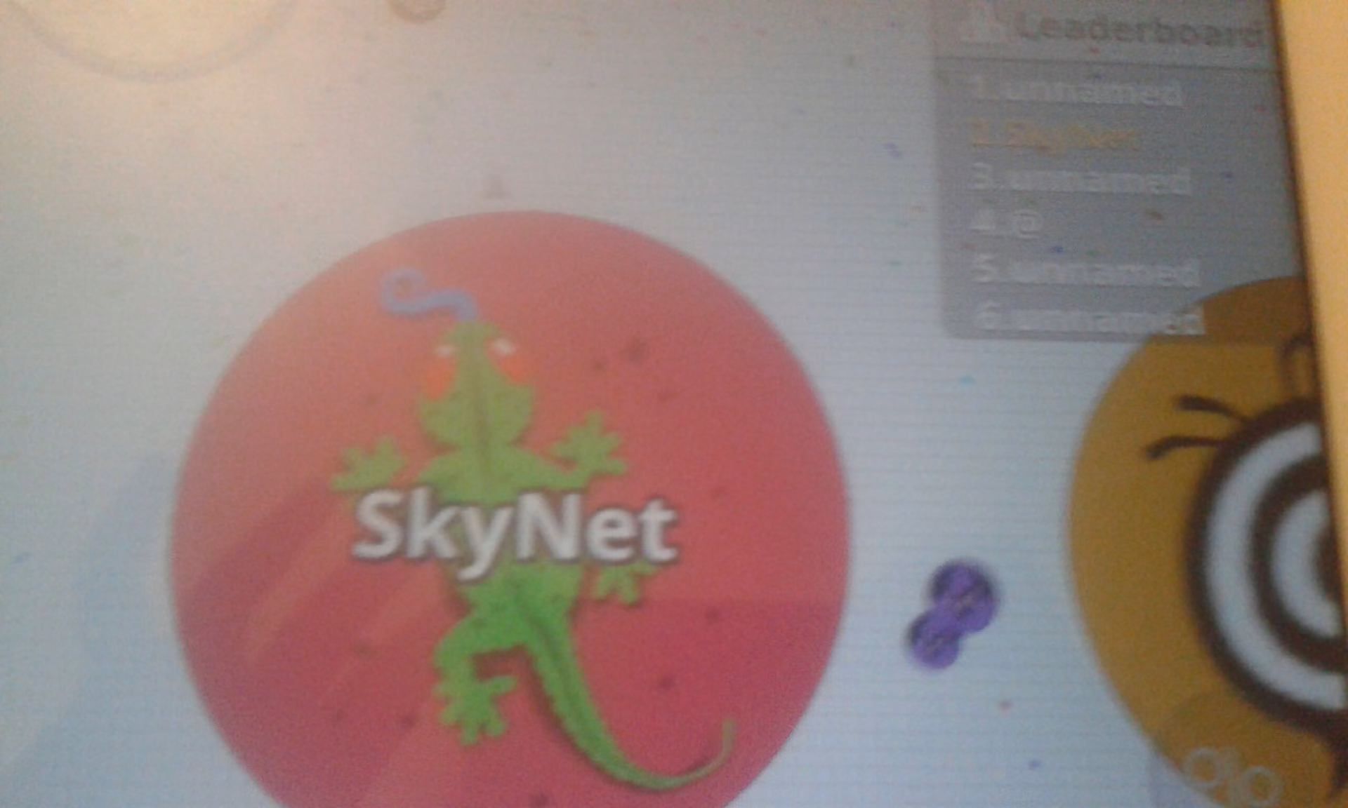 30d013d042c4e6aa8df1dc04e09921e9.avif