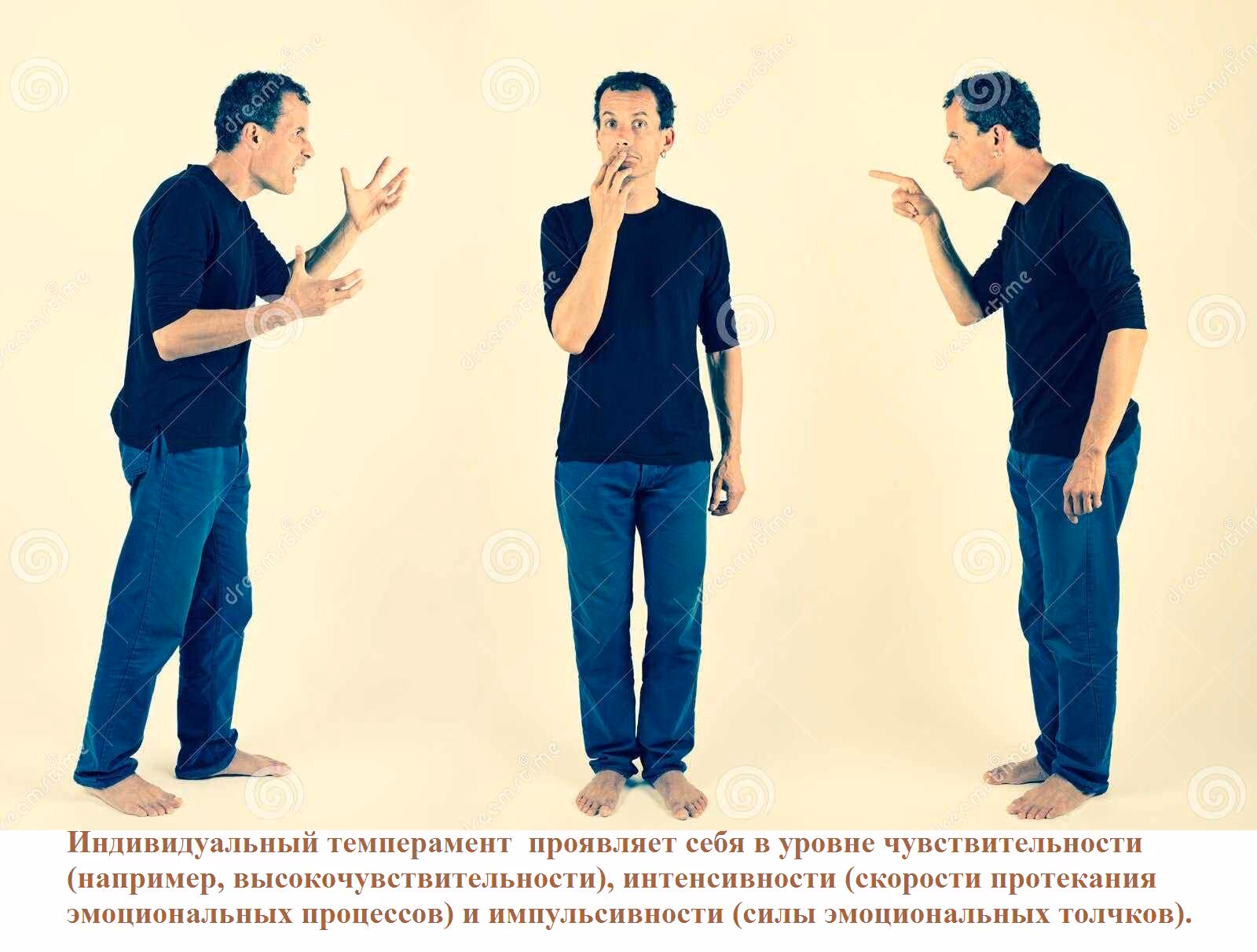 3101d01c80381058f665cbfe80987a44.avif