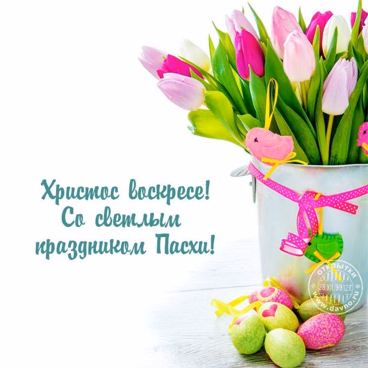 3118ef6ae4fb97f6422cf555df13582b.jpg