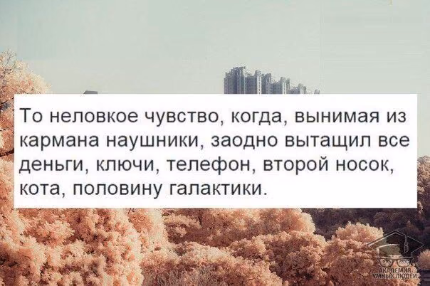 311a93fb46a6c35616167462f3ffb752.avif