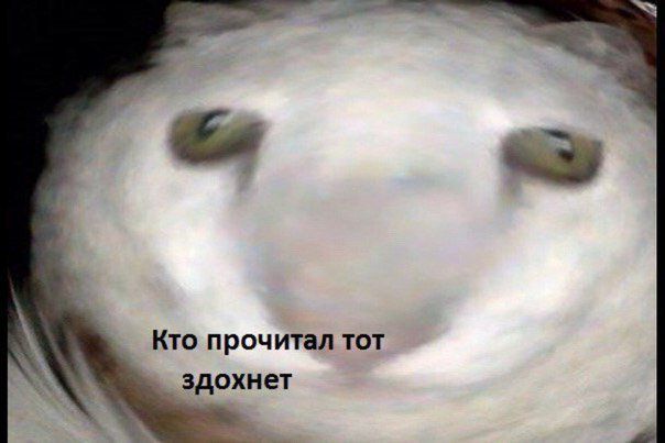 311afb9cb9d767cd3fb1461d25deaa5c.jpg