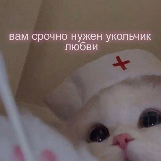 311f4fc115bd7e4a64816225671a48b0.avif