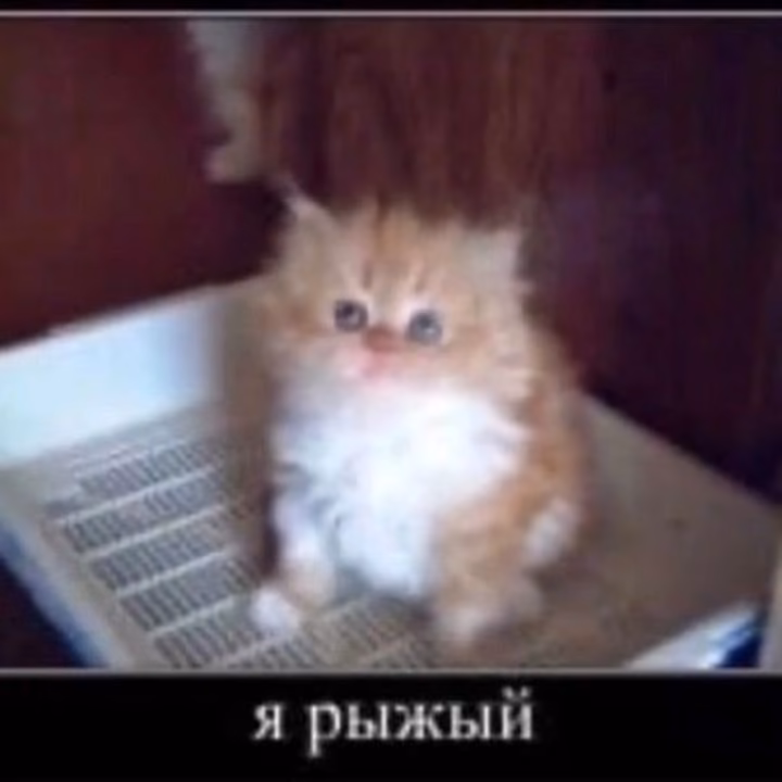 312143ee1822482d5afb6e6c0e30efd0.avif