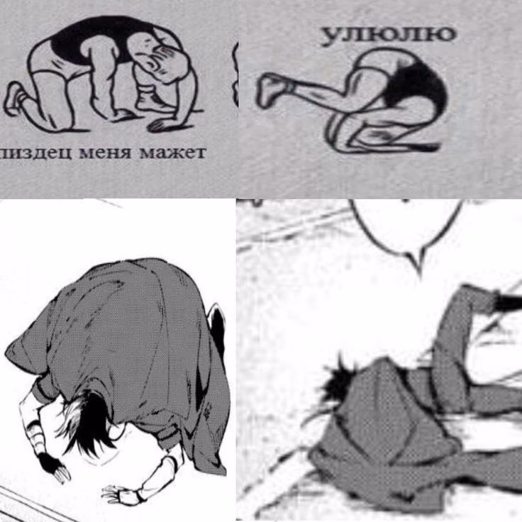 312d6cee786e0d5fb51324d69bdfb11e.jpg