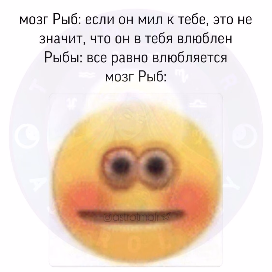 3136b59f0d37918522c609c32cdcd97a.avif