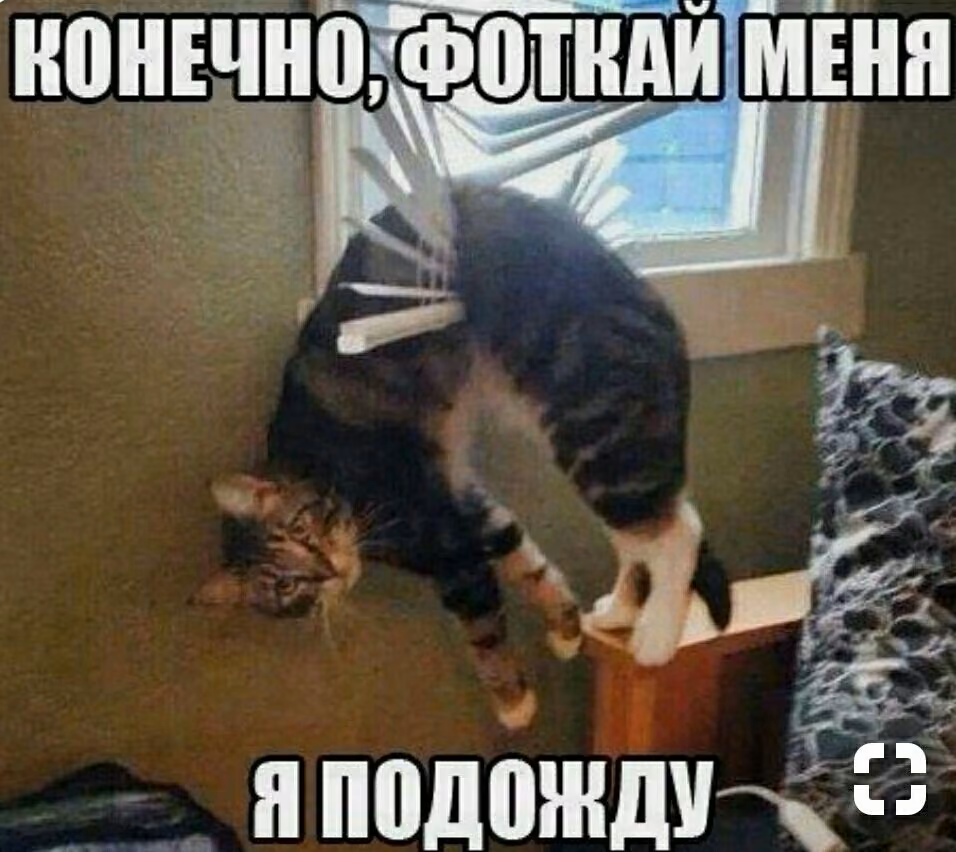 314244eea036b90ffcca6d00b69d9e18.jpg