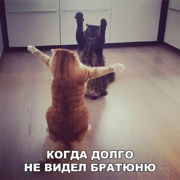 314adb43756b62db4d44ef648cf40453.jpg
